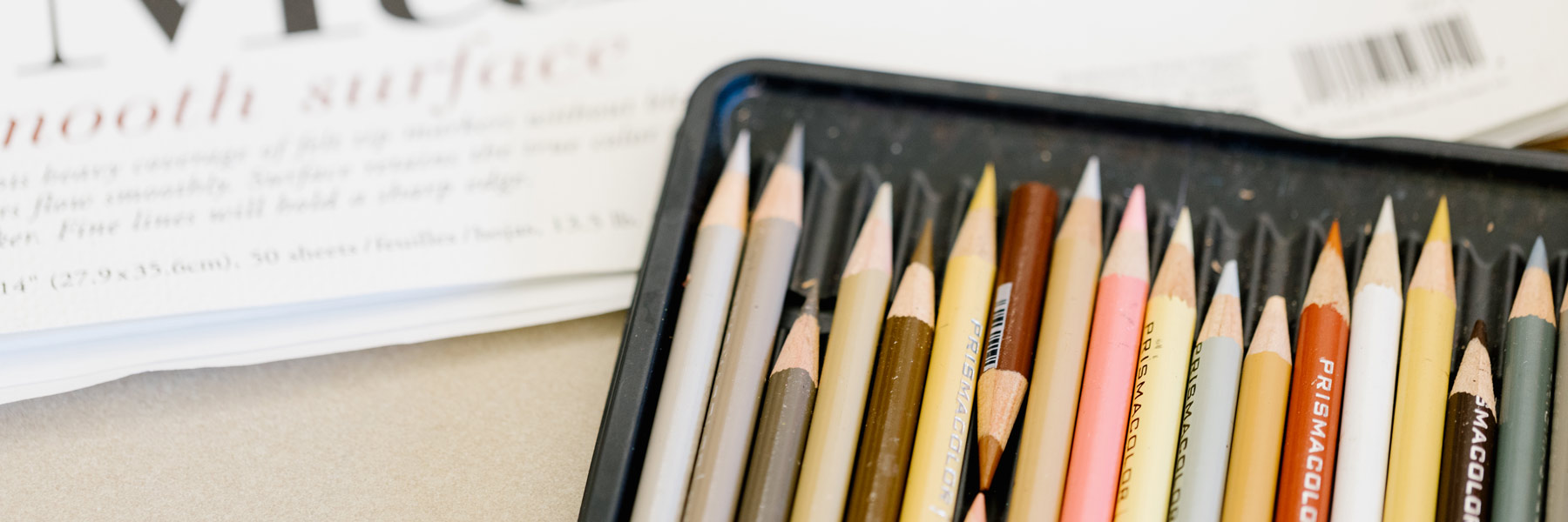 A row of colored pencils.